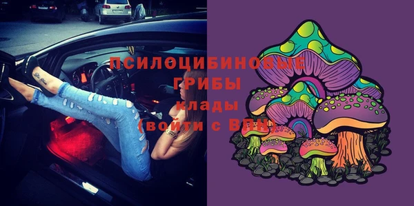 mix Верея